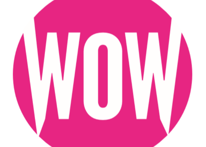 Women of Waterproofing (WoW) Networking Group